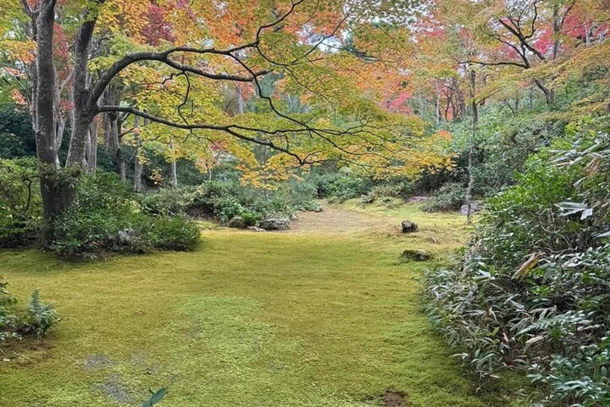 um jardim com árvores e um campo de grama