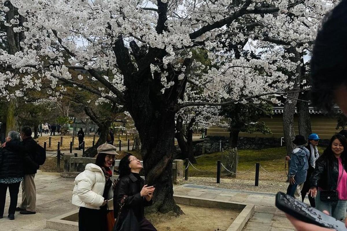 um grupo de pessoas em pé ao lado de uma árvore com flores