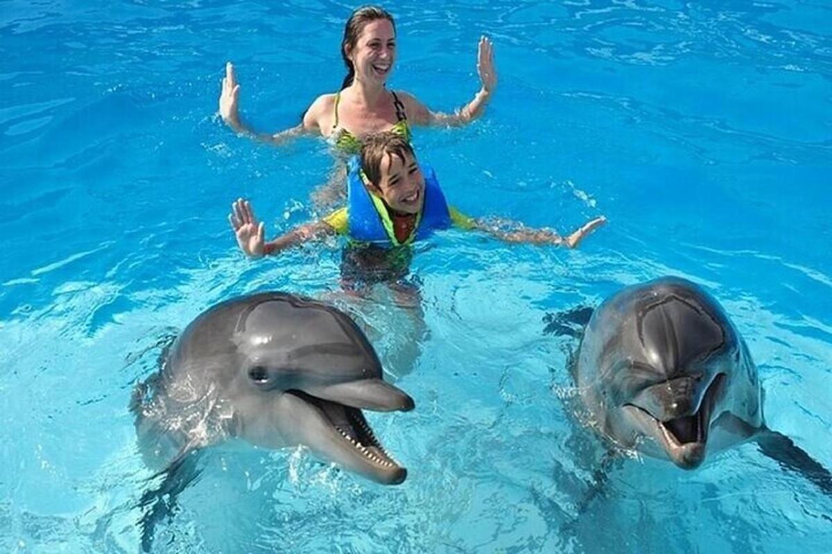 uma mulher e dois golfinhos na água