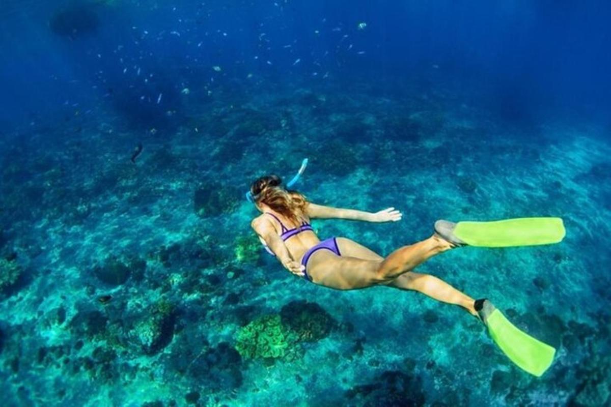 uma mulher de biquíni nadando no oceano