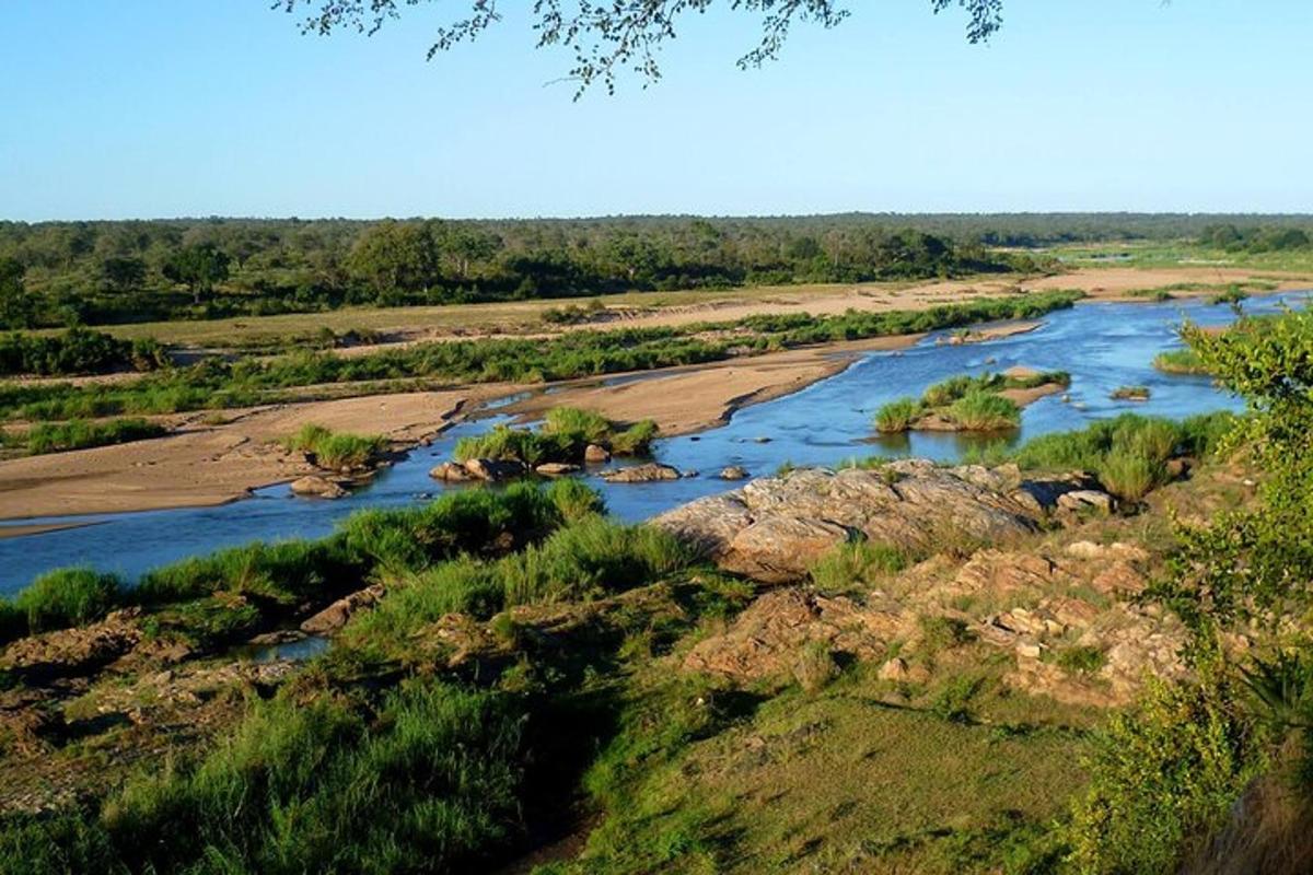 una vista aerea di un fiume con rocce e alberi