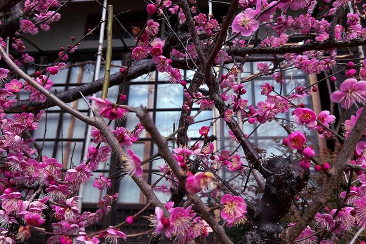 Un árbol con flores rosas frente a un edificio.