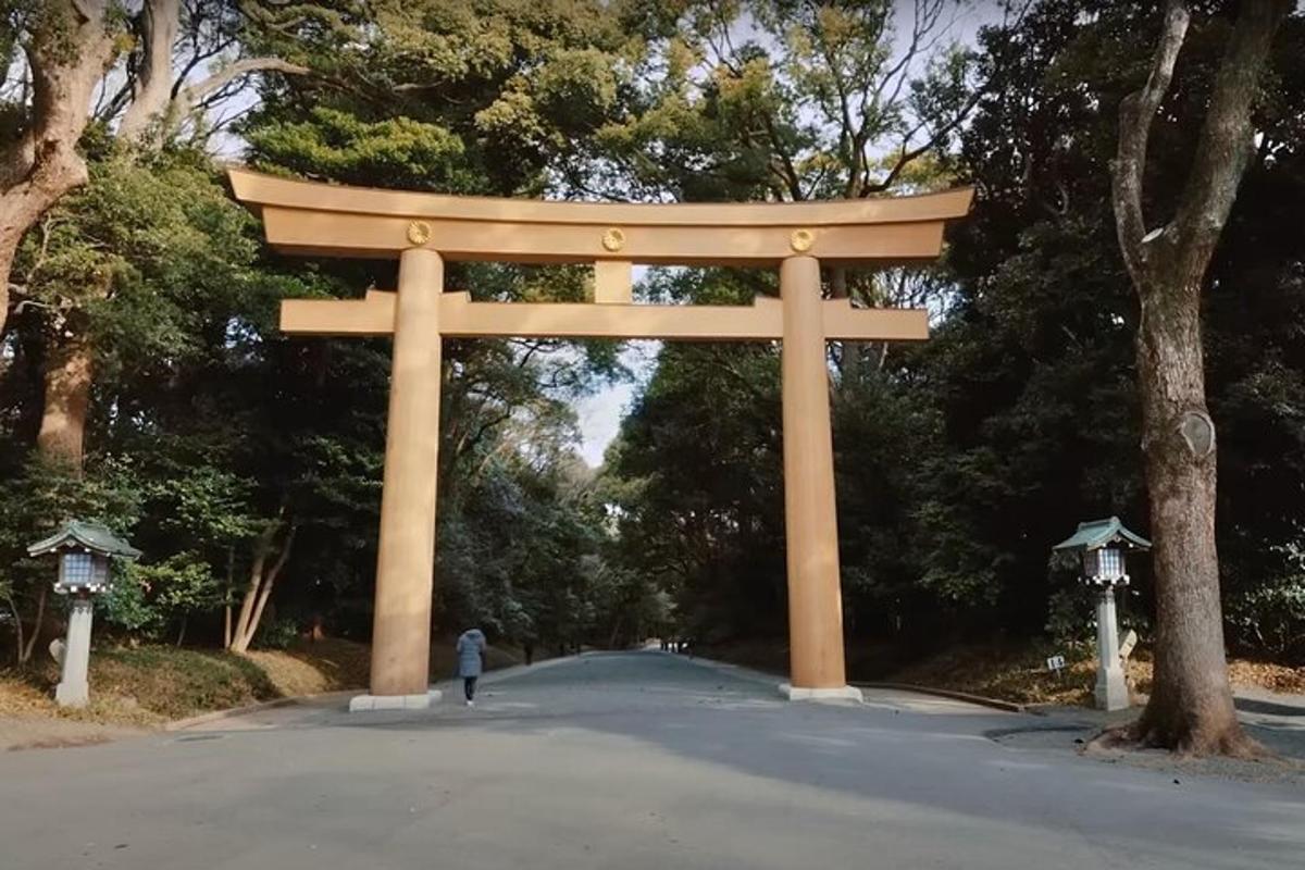 una porta torii al mig d'un carrer