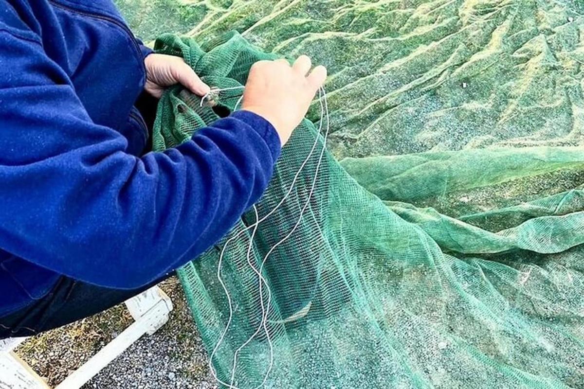 Un niño está atando un trozo de red verde.