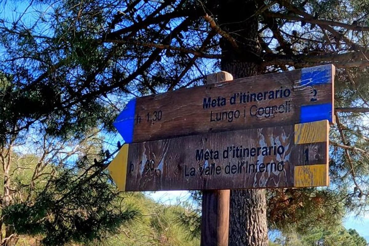 un cartello di legno davanti a un albero