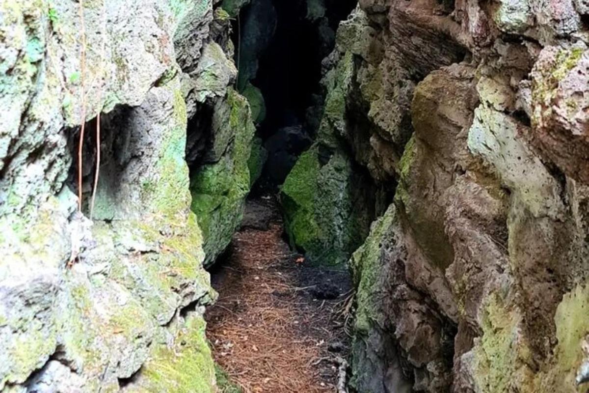 una grotta in una parete rocciosa con un sentiero che la attraversa