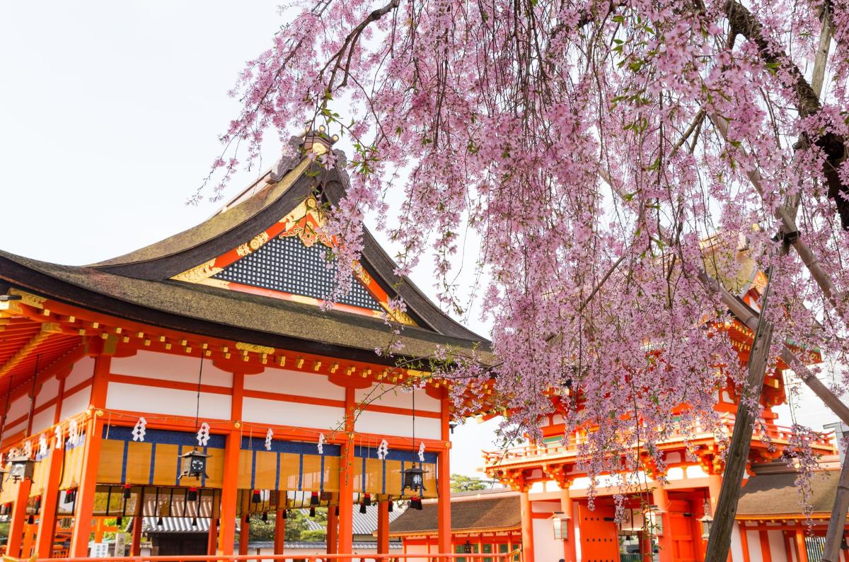 a building with a flowering tree in front of it