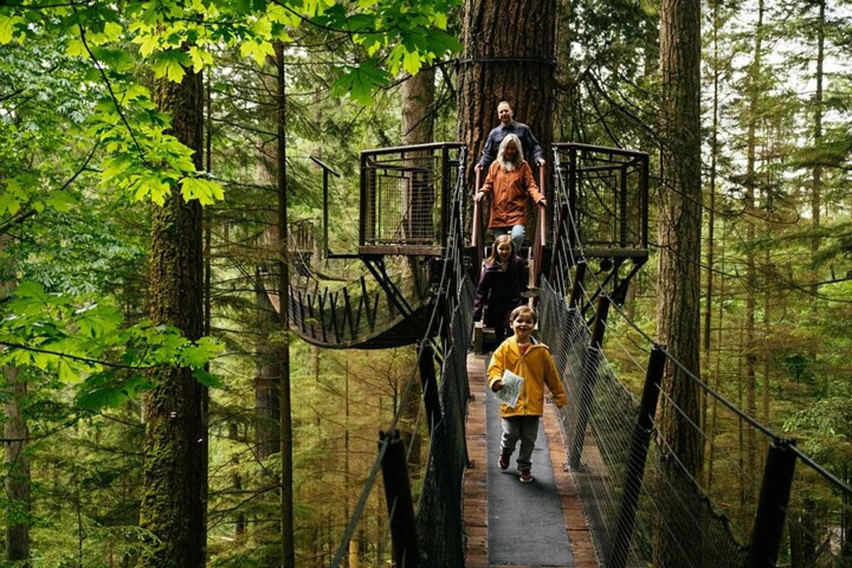 Un grupo de personas caminando por un puente colgante en el bosque.