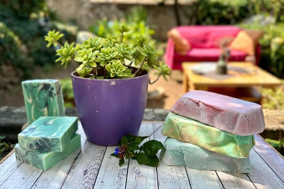 o masă cu o plantă în ghiveci și o vază pe ea