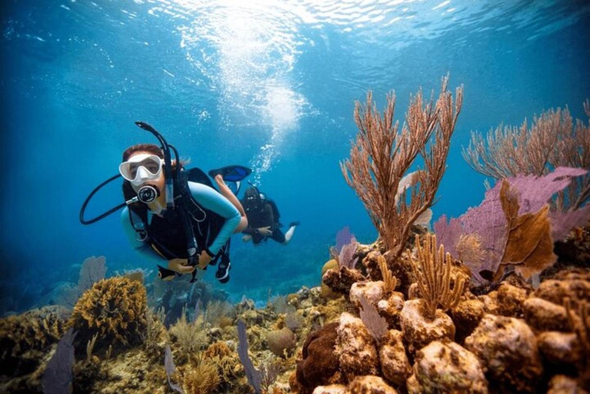 una persona in acqua con una macchina fotografica su una barriera corallina