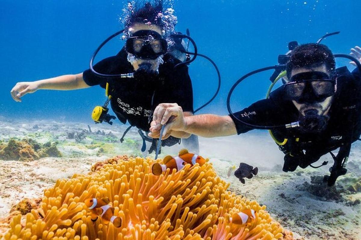 due persone nell'oceano che guardano una barriera corallina