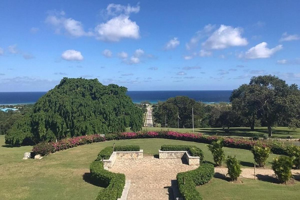 un jardí amb vistes a l'oceà