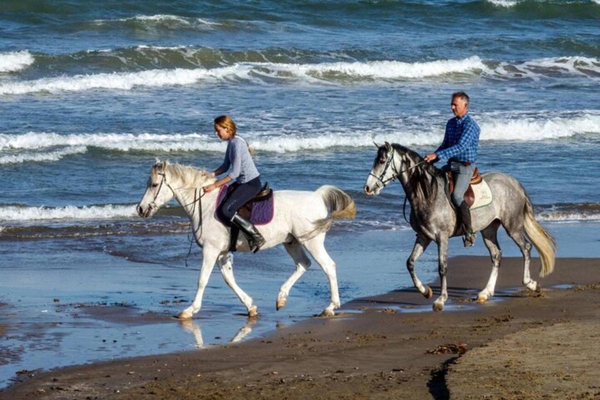 two people riding horses on the beach