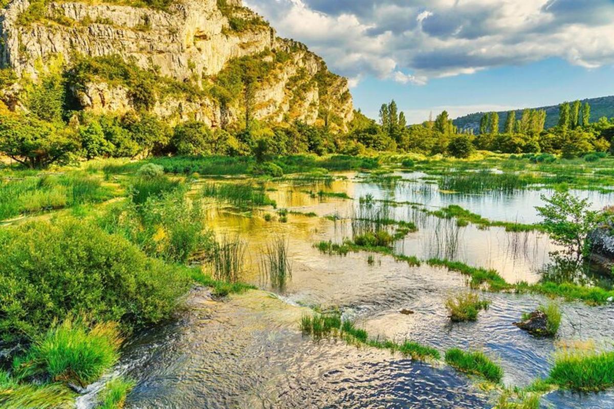 uno specchio d'acqua con alberi e una montagna