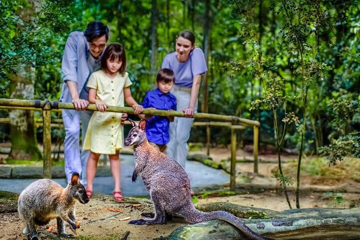 a family looking at a kangaroo in a zoo