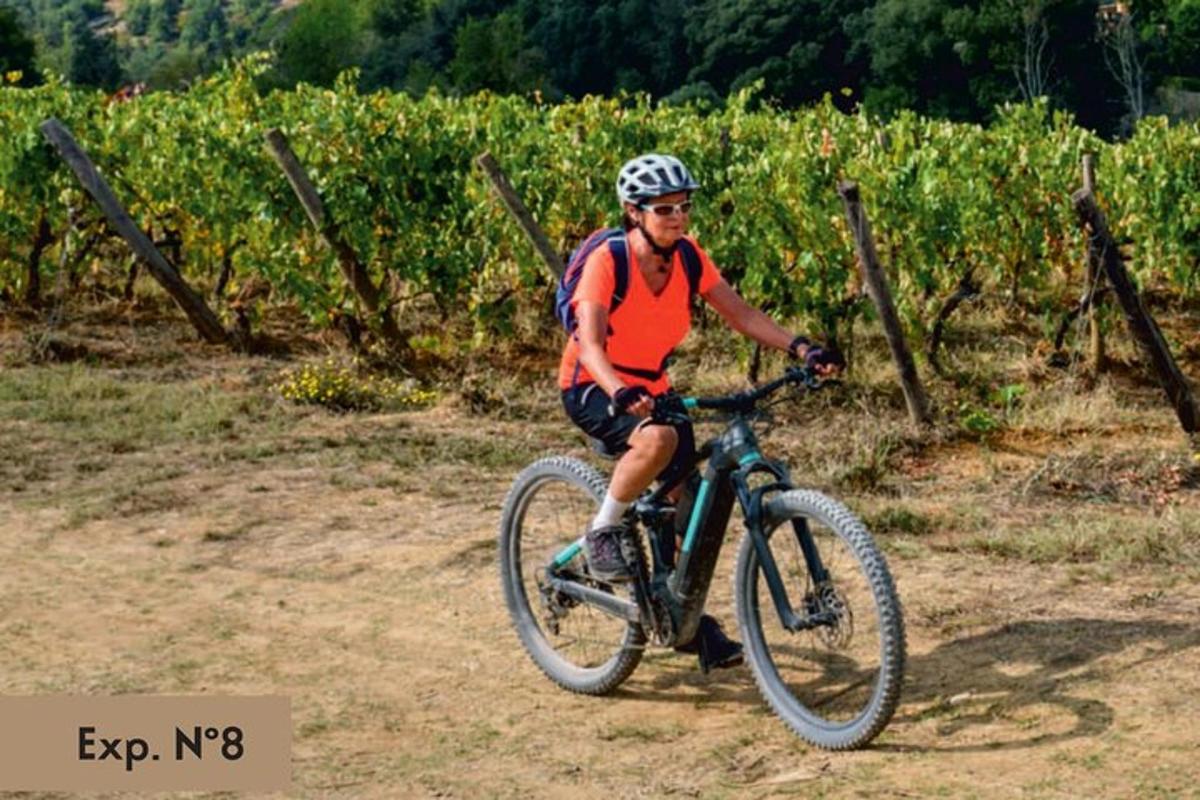 ein Mann fährt Fahrrad vor einem Weinberg