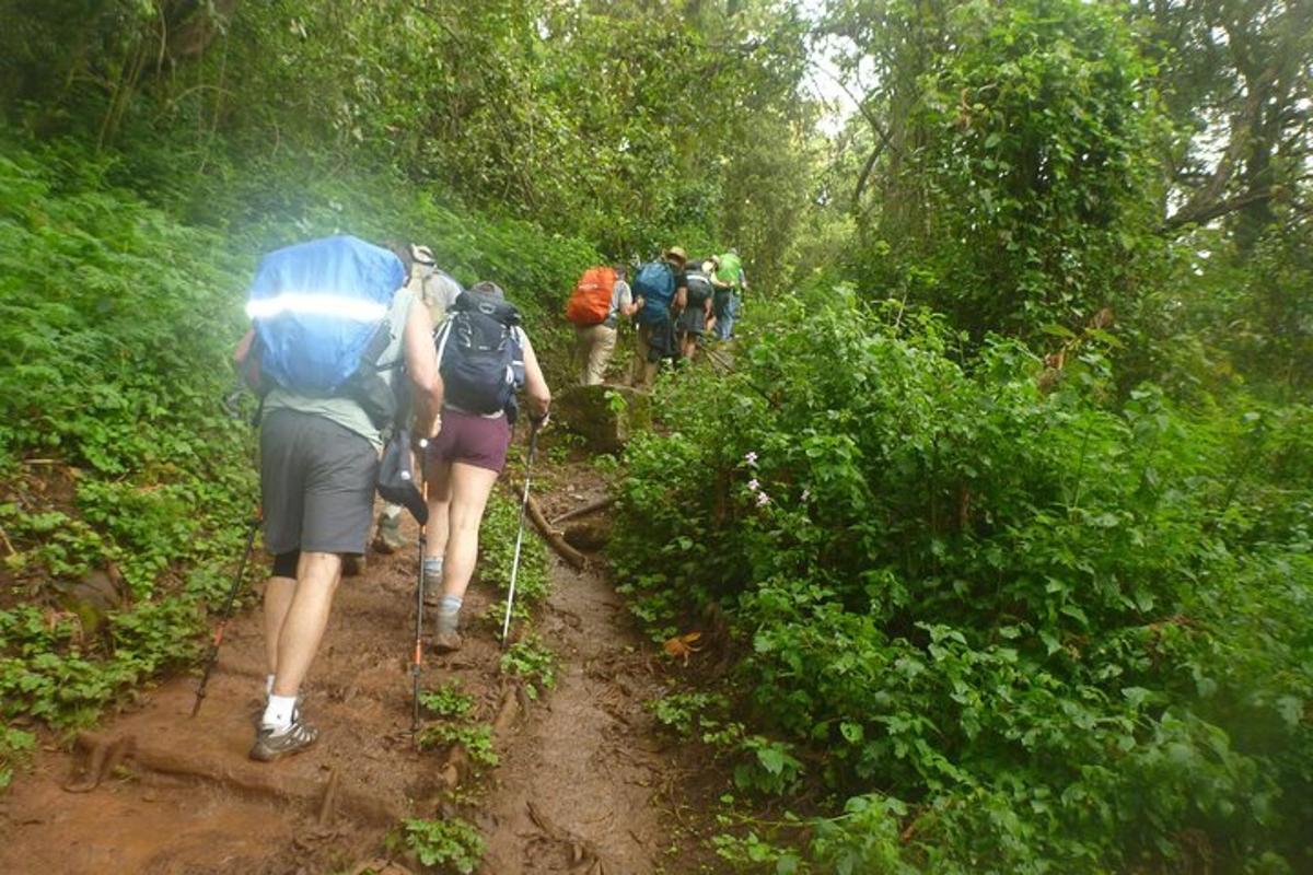 un gruppo di persone che camminano lungo un sentiero sterrato