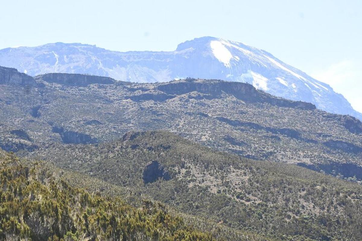 una montagna innevata in lontananza con alberi