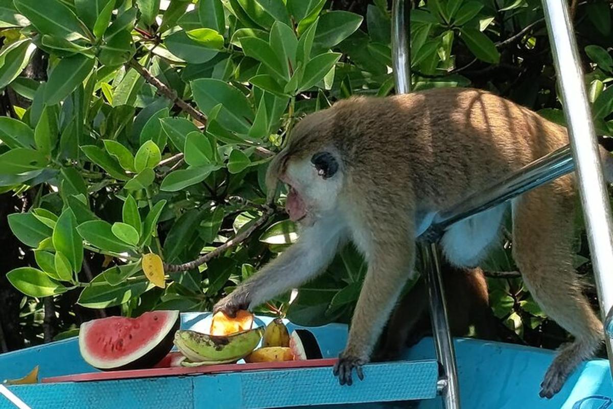 Un mono parado sobre una mesa con un bol de fruta.