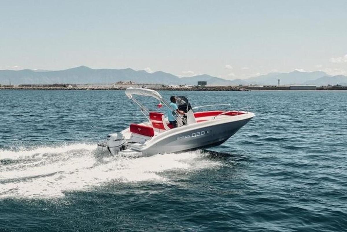 un perro en un barco en el agua
