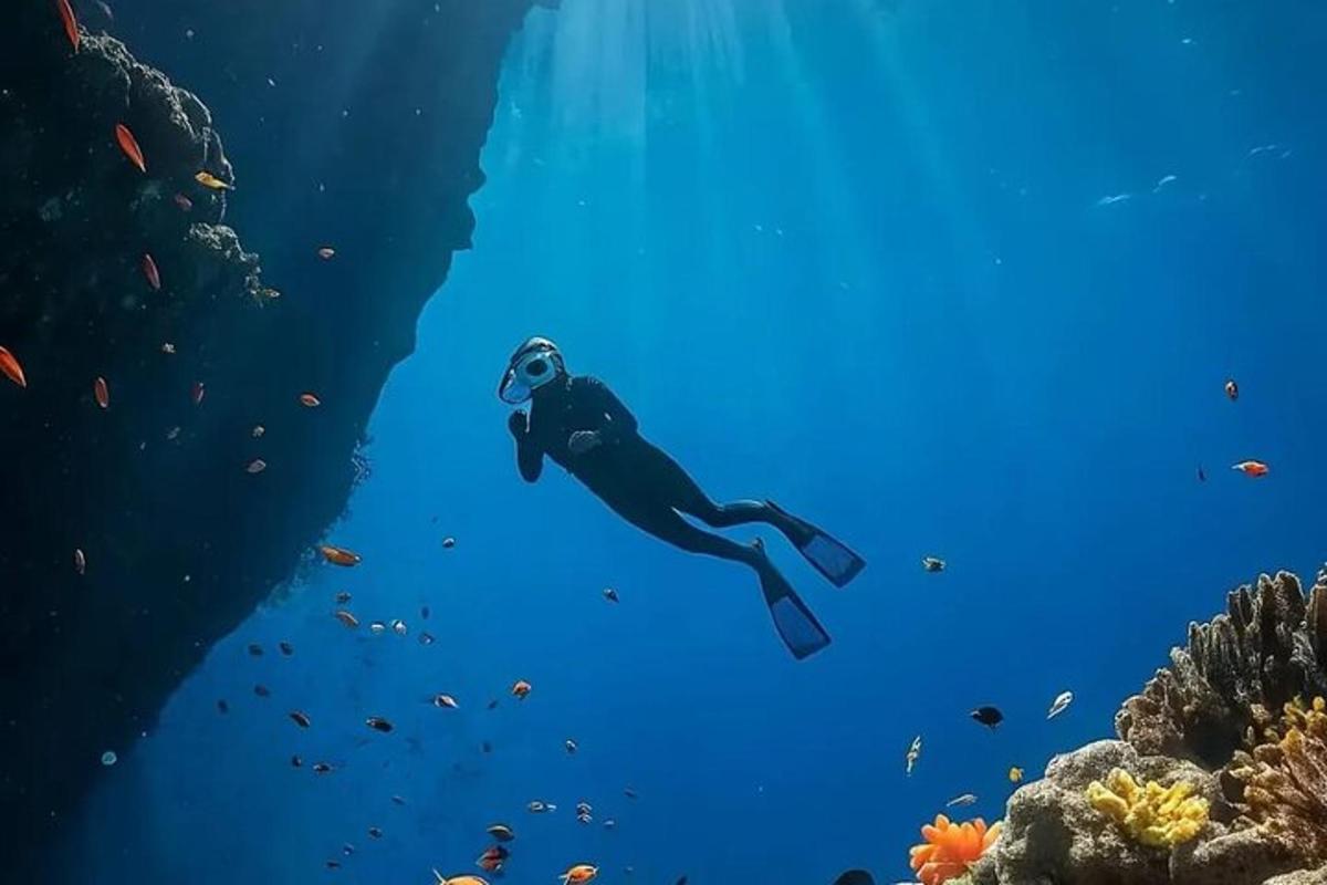 potápěč plave v oceánu vedle útesu