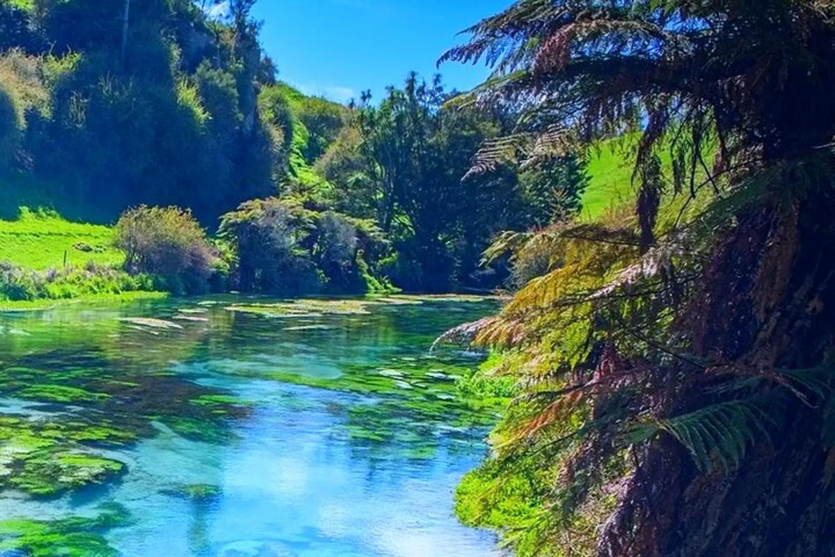 a river with green water and trees in the background