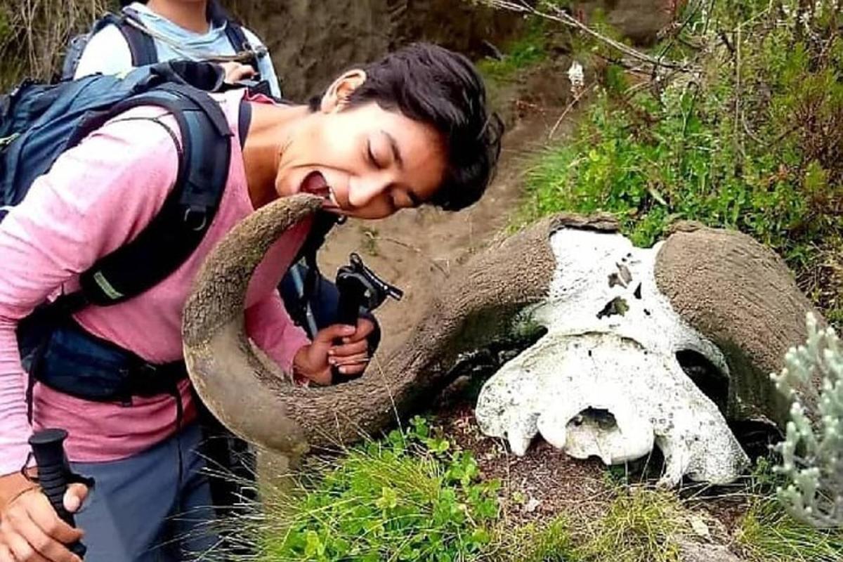 um homem com uma tromba de elefante ao lado de uma caveira