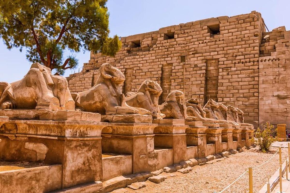 a stone sculpture of animals on a building