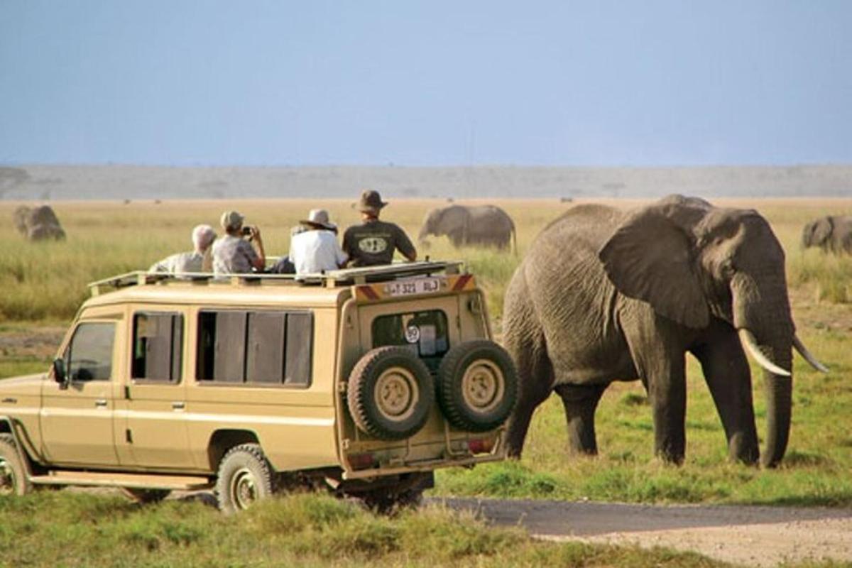 skupina lidí jedoucích na zadní straně safari vozidla se slonem