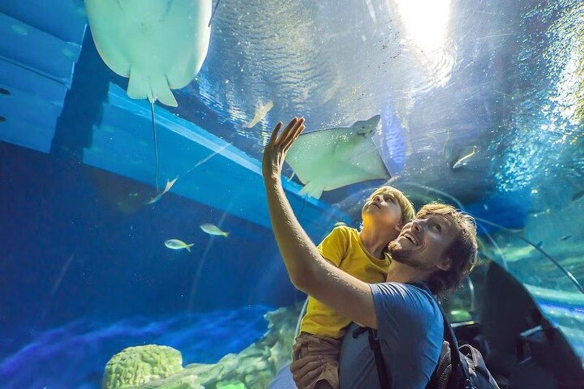 a man and a boy looking at a fish in an aquarium
