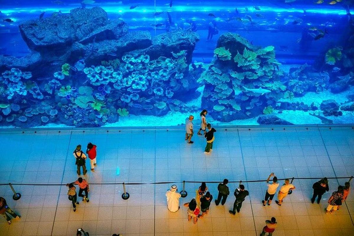a group of people standing in front of a large aquarium