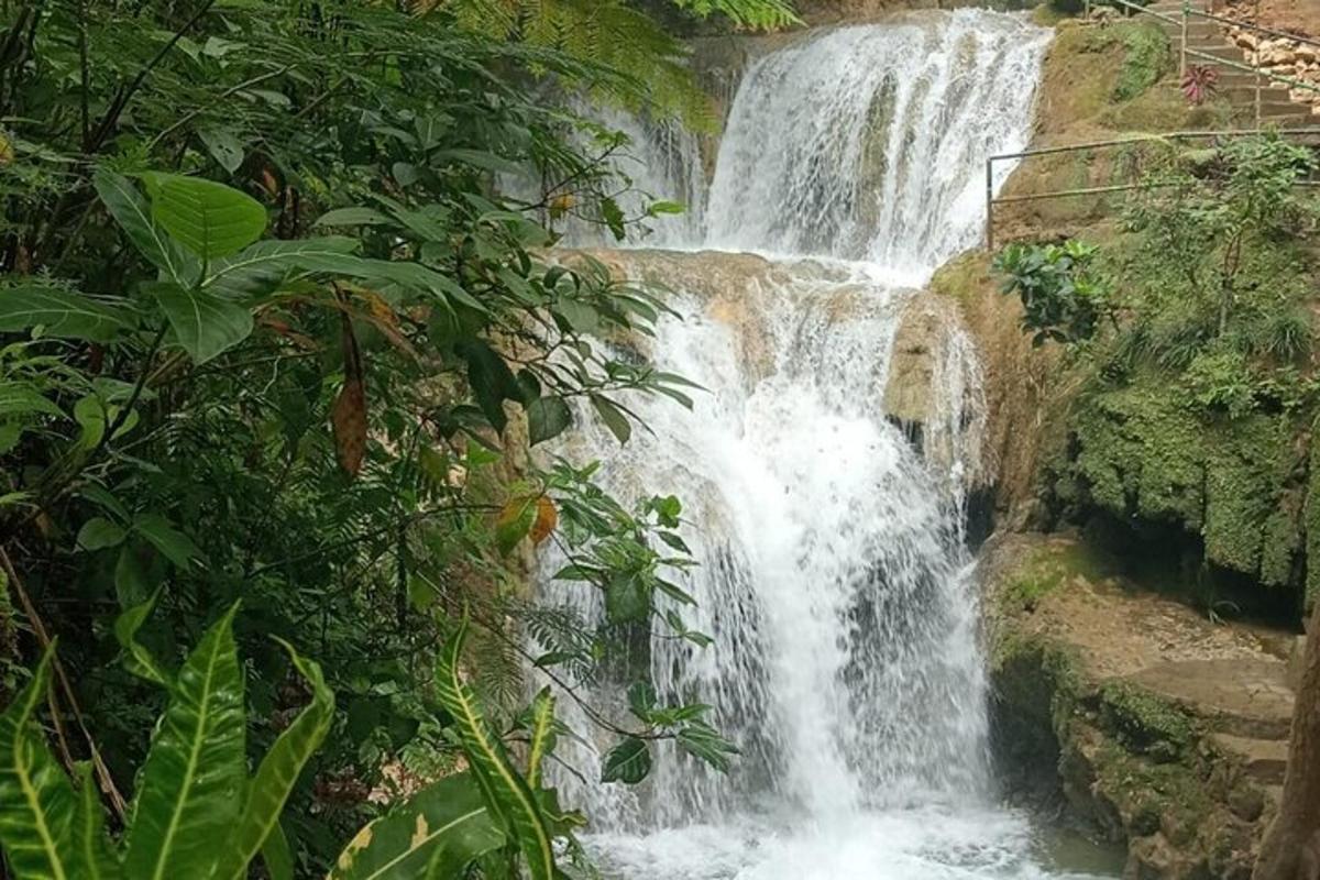 air terjun di tengah-tengah hutan