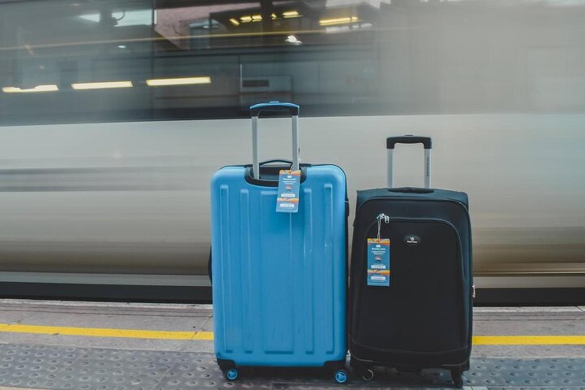 tre bagagli appoggiati accanto a un treno