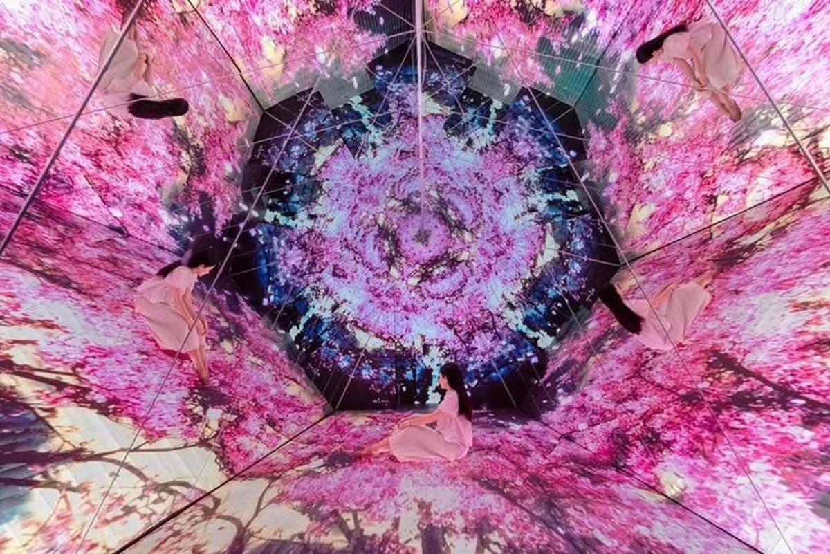 kaleidoskopický obraz plameňáků v růžovém víru