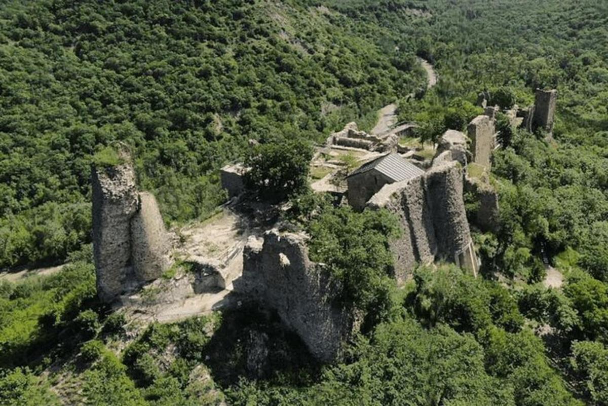 an old castle in the middle of a forest
