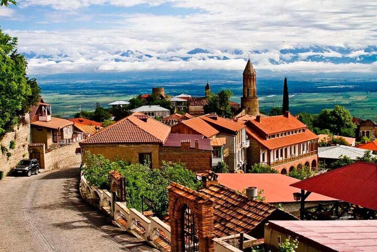 a view of a town from a hill with roofs