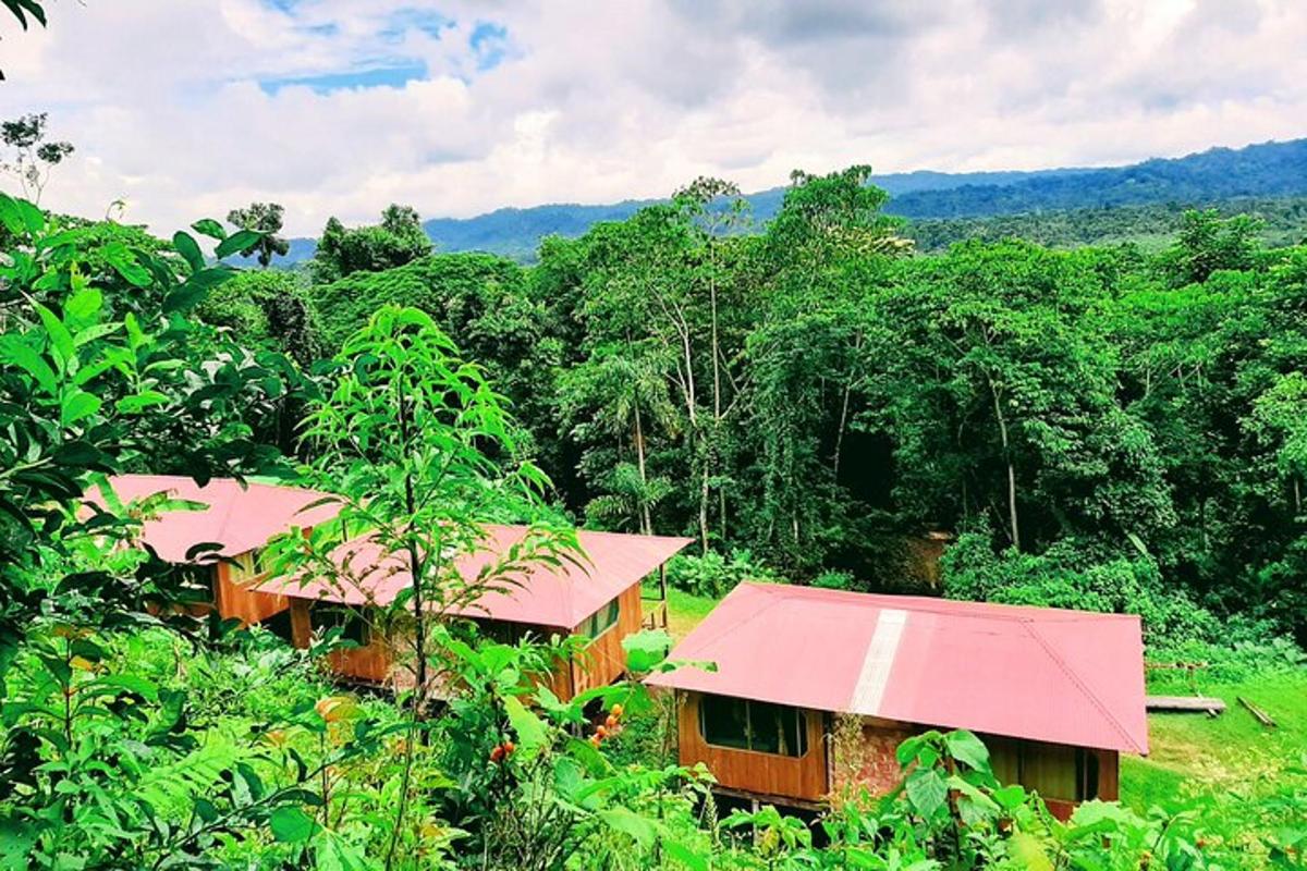 sebuah rumah beratap merah di hutan