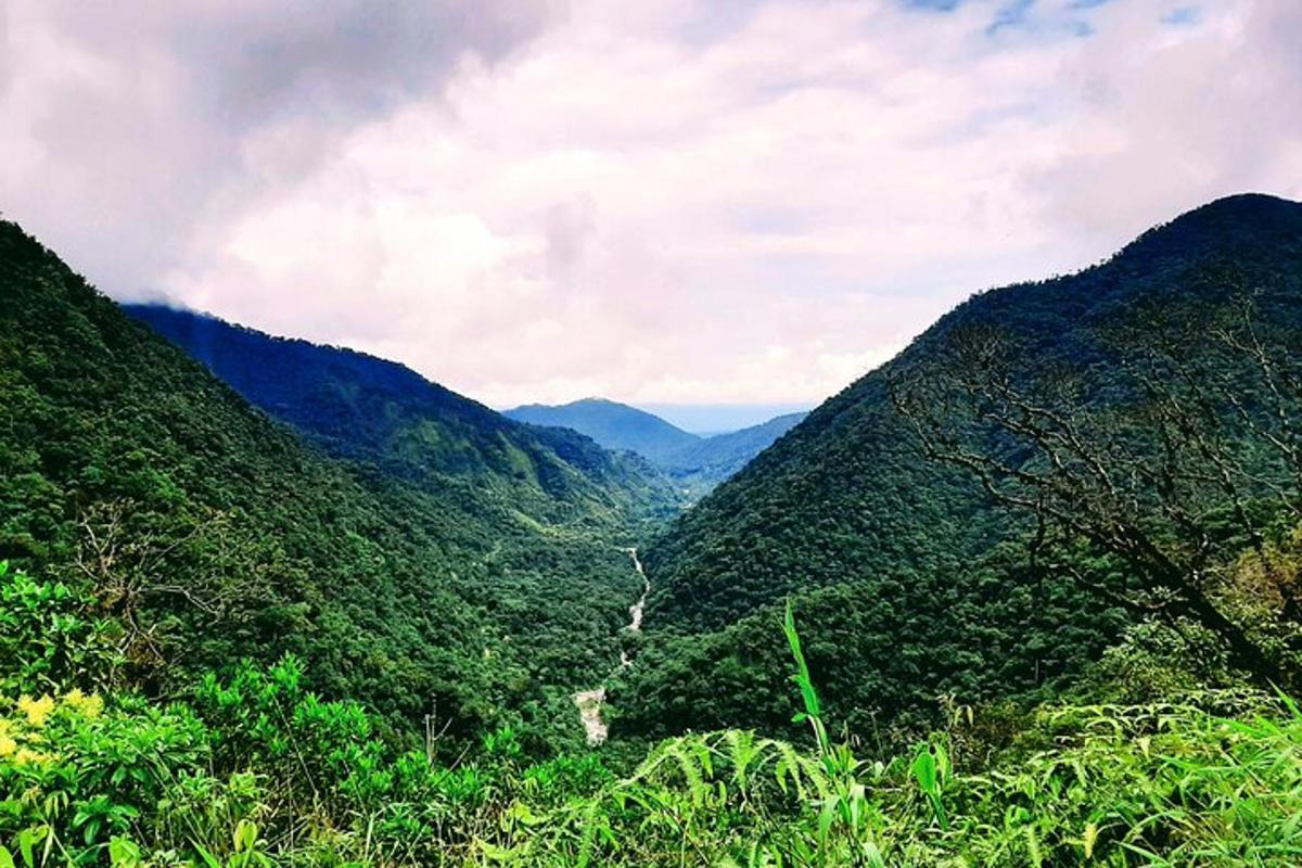 pemandangan lembah di pegunungan