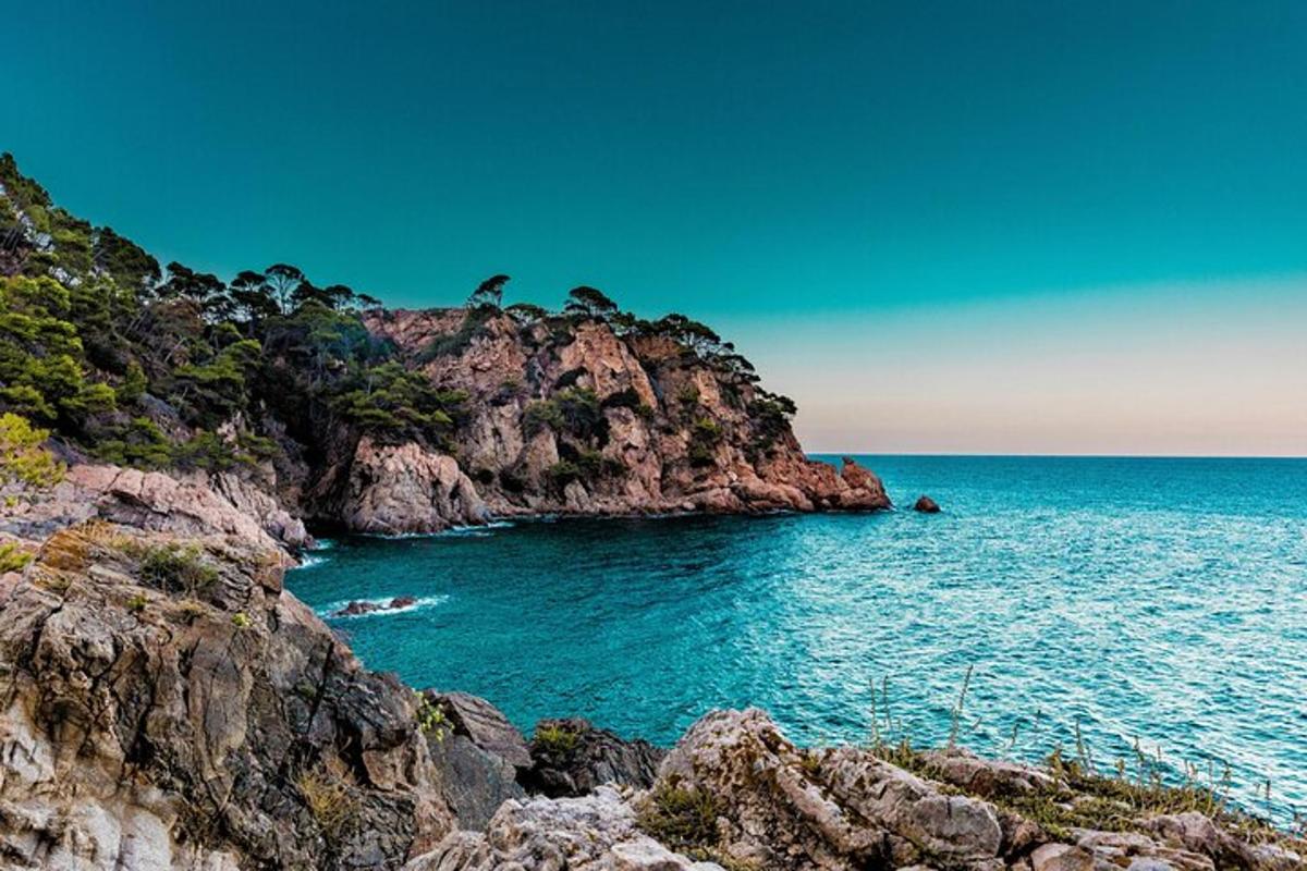 a rocky island in the ocean with two birds on it