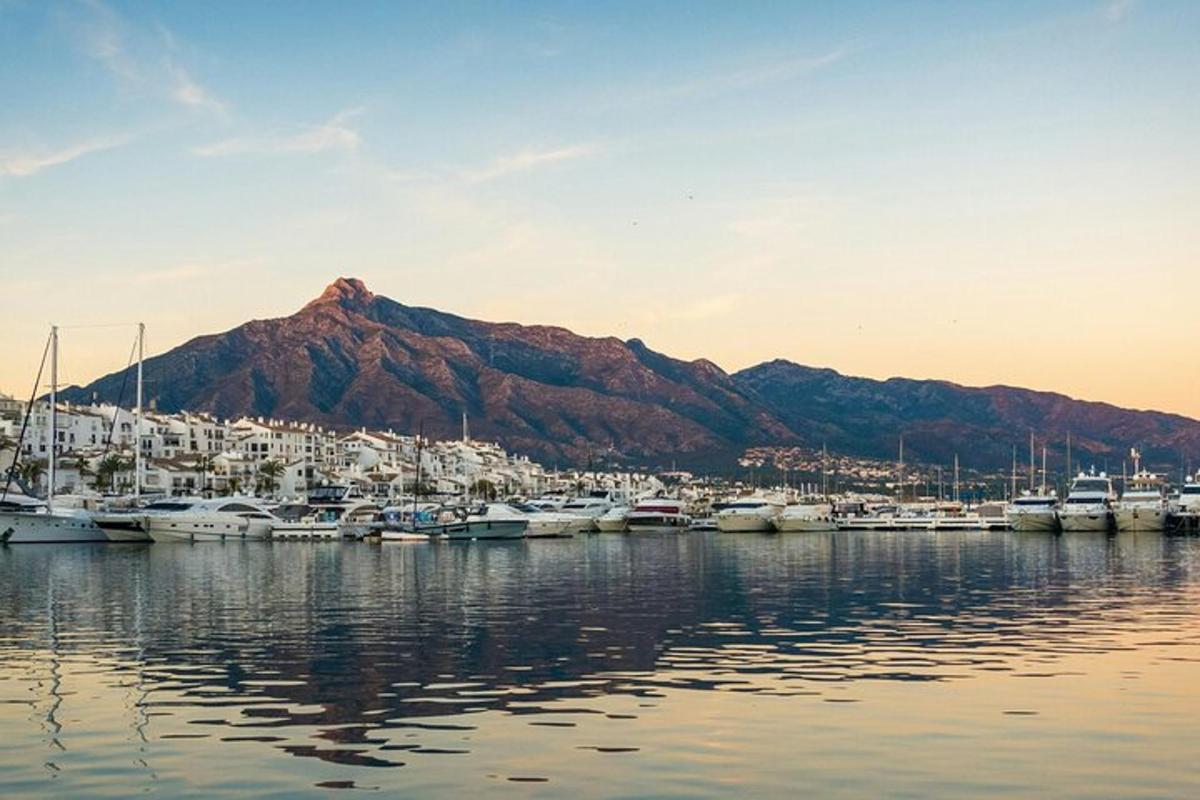 a group of boats docked in a harbor with a mountain