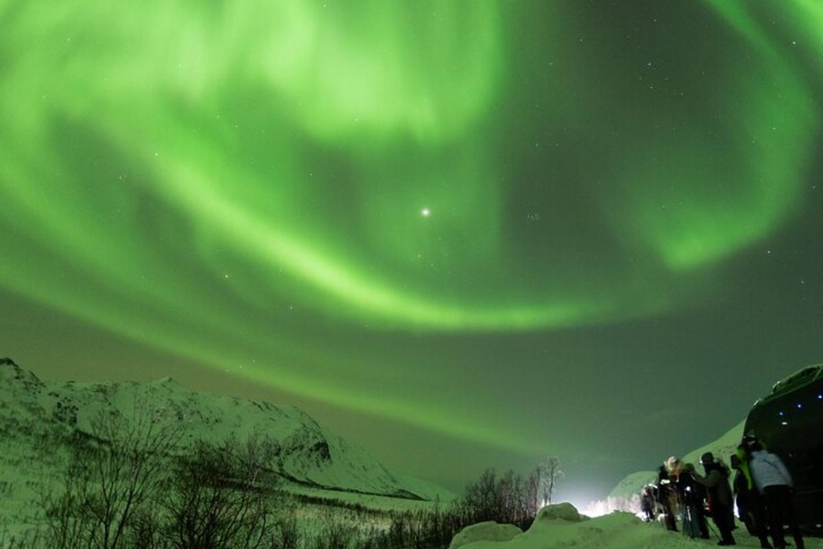 hópur fólks stendur undir norðurljósunum