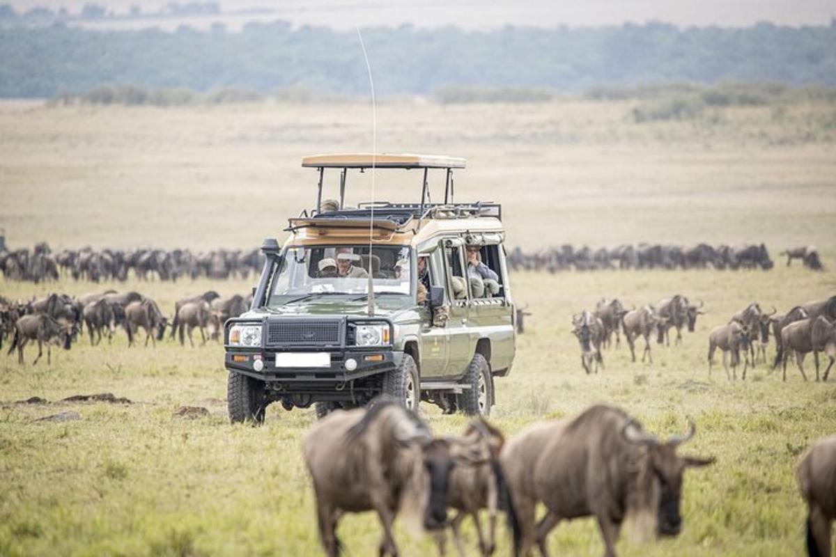 un veicolo da safari che attraversa una mandria di animali