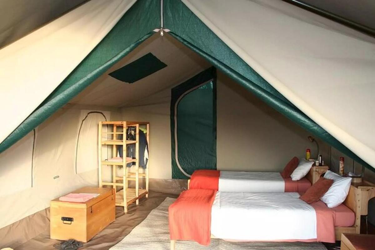 una stanza con due letti in una tenda