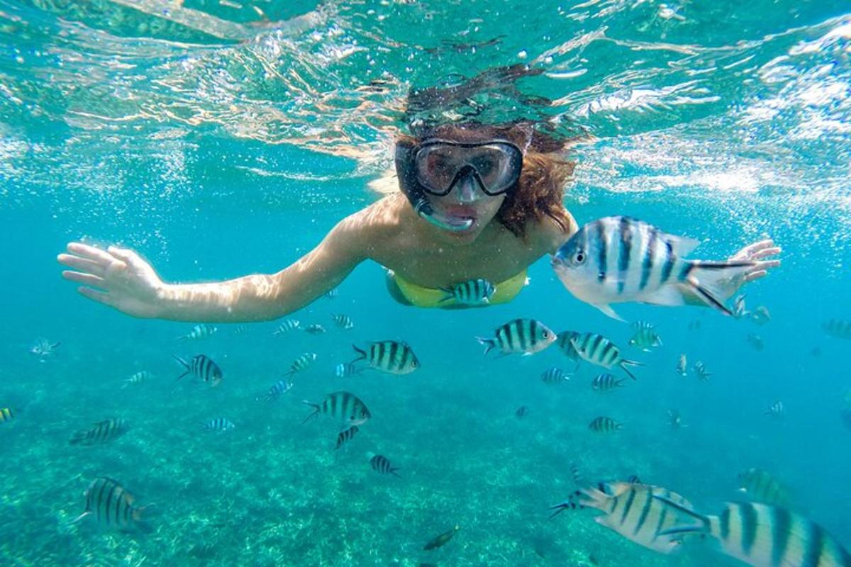 a person swimming in the water with fish