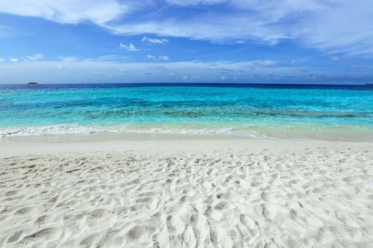 una playa de arena con el océano al fondo
