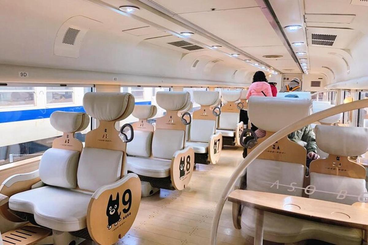 a train with empty seats and a woman standing in it