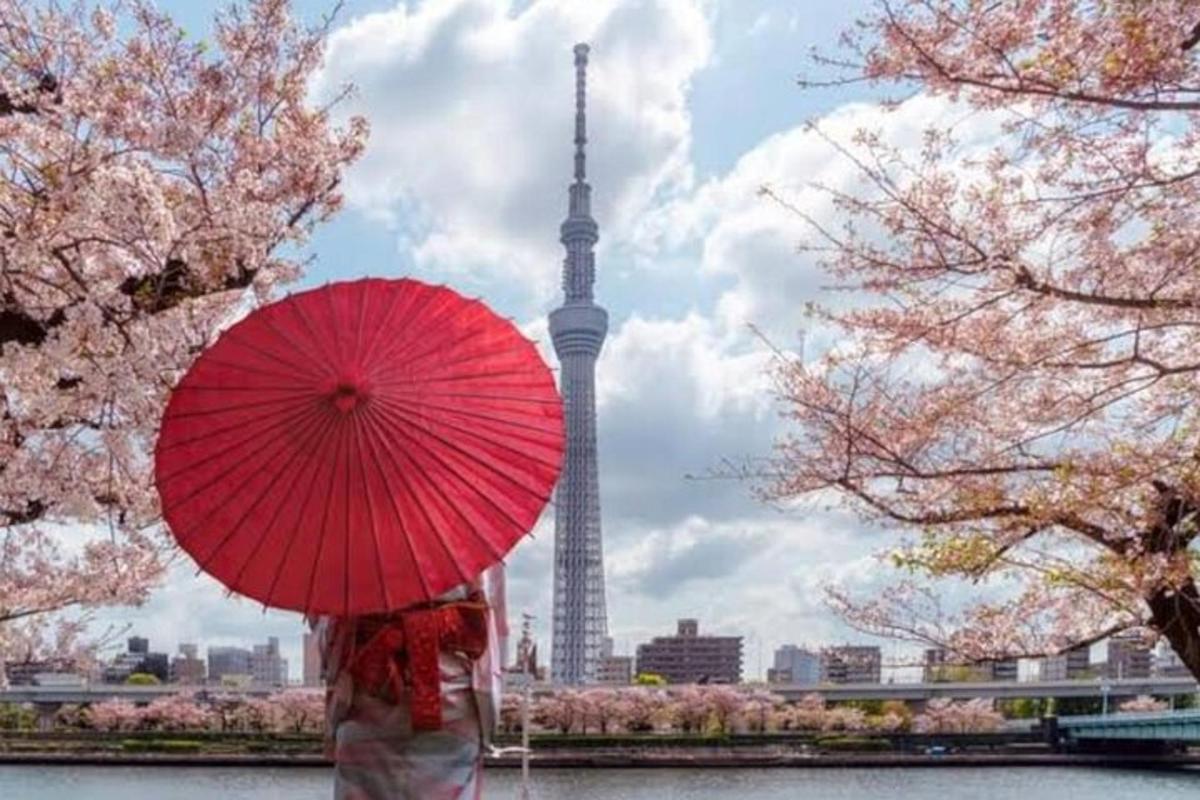eine Person mit einem roten Regenschirm vor dem Seoul Tower
