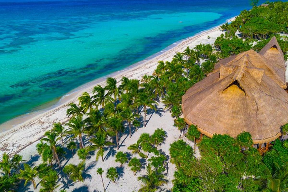 an aerial view of a beach with a large umbrella
