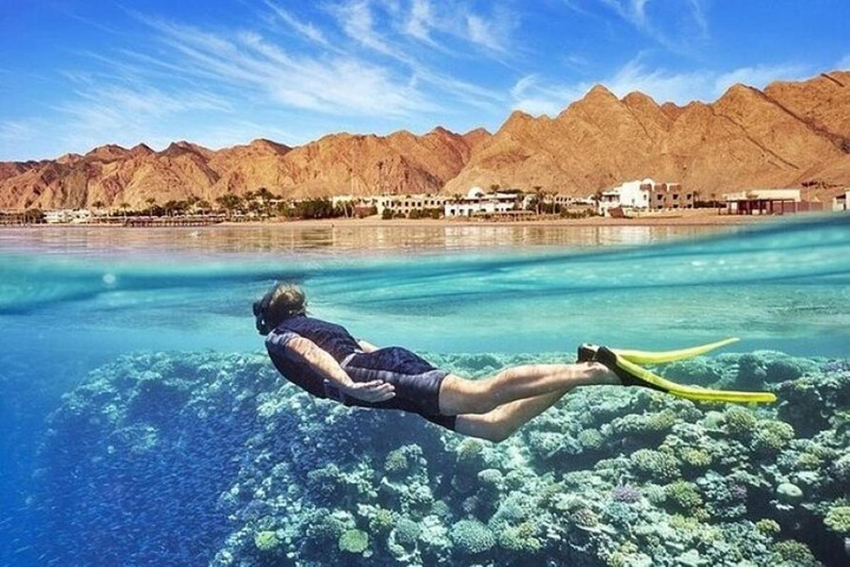 a person swimming over a coral reef in the water