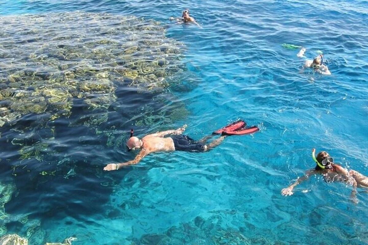水中で泳いでいる人々のグループ